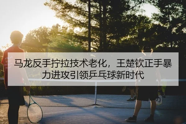 ma-long-fan-shou-ning-la-ji-shu-lao-hua-wang-chu-qin-zheng-shou-bao-li-jin-gong-yin-ling-ping-pang-qiu-xin-shi-dai-2-221.jpg